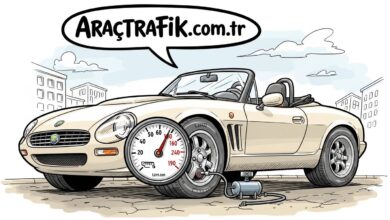 Abarth 216A Spyder Lastik Hava Basıncı Aractrafik.com.tr