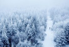 Kış lastiği ne zaman takılır? 2024 kışlık lastik takma tarihi açıklandı!