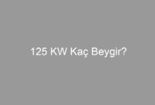 125 KW Kaç Beygir?