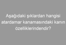 Aşağıdaki şıklardan hangisi atardamar kanamasındaki kanın özelliklerindendir?