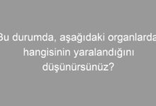 İlk yardımcı olarak bulunduğunuz bir kaza yerinde, kazazedelerden birinin öksürme ile ağzından açık kırmızı renkte, köpüklü kan geldiğini gözlemlediniz. Bu durumda, aşağıdaki organlardan hangisinin yaralandığını düşünürsünüz?