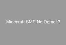 Minecraft SMP Ne Demek?