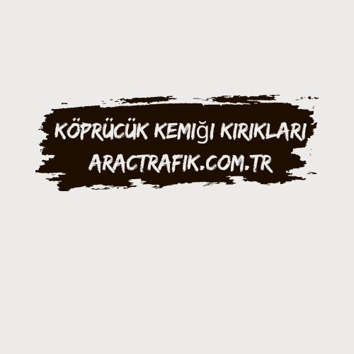 Köprücük Kemiği Kırıkları