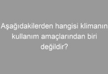 Aşağıdakilerden hangisi klimanın kullanım amaçlarından biri değildir?