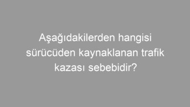 Aşağıdakilerden hangisi sürücüden kaynaklanan trafik kazası sebebidir?