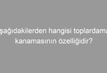 Aşağıdakilerden hangisi toplardamar kanamasının özelliğidir?