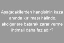Aşağıdakilerden hangisinin kaza anında kırılması hâlinde, akciğerlere batarak zarar verme ihtimali daha fazladır?