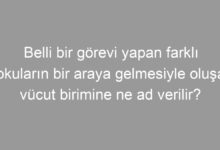 Belli bir görevi yapan farklı dokuların bir araya gelmesiyle oluşan vücut birimine ne ad verilir?