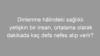 Dinlenme hâlindeki sağlıklı yetişkin bir insan, ortalama olarak dakikada kaç defa nefes alıp verir?