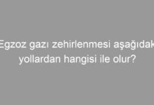 Egzoz gazı zehirlenmesi aşağıdaki yollardan hangisi ile olur?