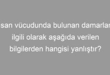 İnsan vücudunda bulunan damarlarla ilgili olarak aşağıda verilen bilgilerden hangisi yanlıştır?
