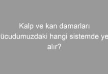Kalp ve kan damarları vücudumuzdaki hangi sistemde yer alır?