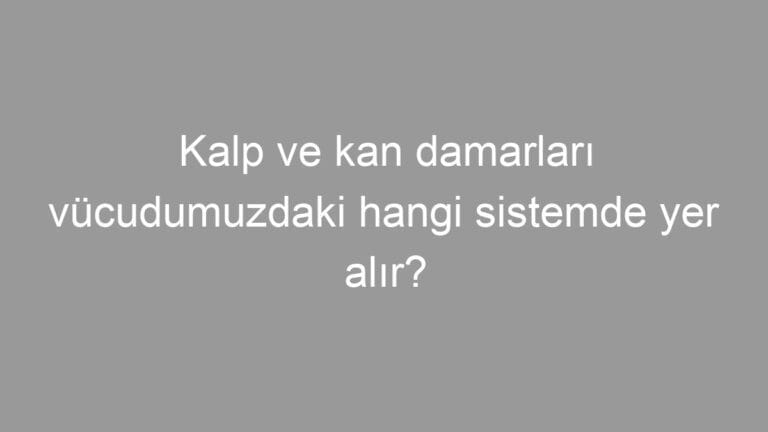 Kalp ve kan damarları vücudumuzdaki hangi sistemde yer alır?