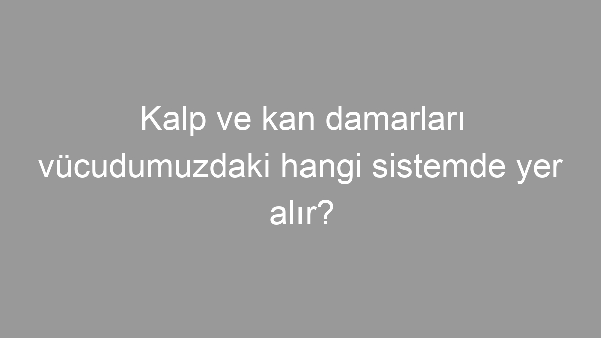 Kalp ve kan damarları vücudumuzdaki hangi sistemde yer alır?