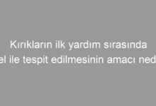 Kırıkların ilk yardım sırasında atel ile tespit edilmesinin amacı nedir?