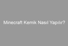 Minecraft Kemik Nasıl Yapılır?