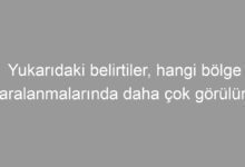 Yukarıdaki belirtiler, hangi bölge yaralanmalarında daha çok görülür?