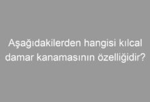 Aşağıdakilerden hangisi kılcal damar kanamasının özelliğidir?