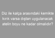 Diz ile kalça arasındaki kemikte kırık varsa dıştan uygulanacak atelin boyu ne kadar olmalıdır?