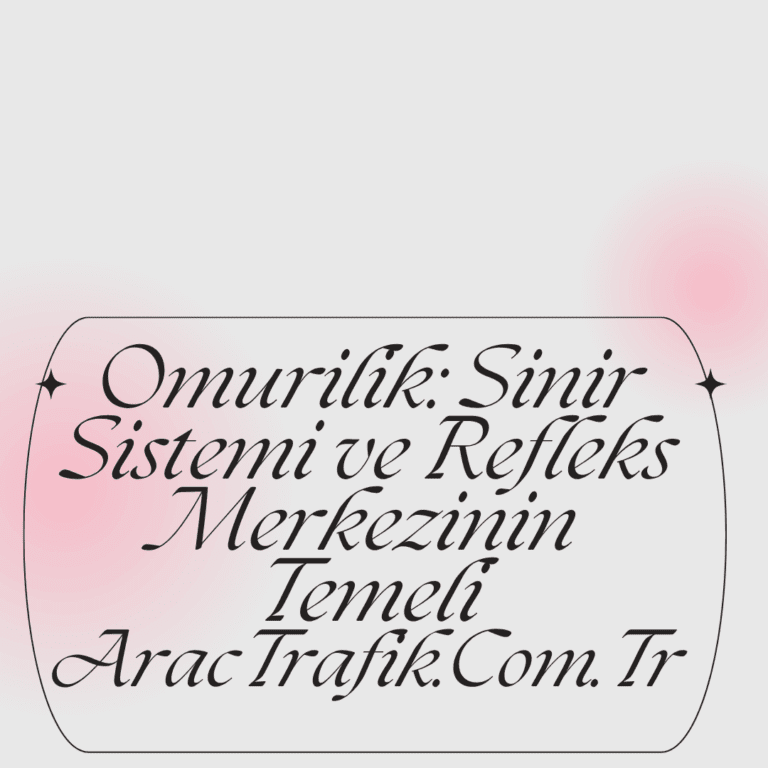 Omurilik : Sinir Sistemi ve Refleks Merkezinin Temeli