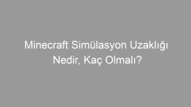 Minecraft Simülasyon Uzaklığı Nedir, Kaç Olmalı?