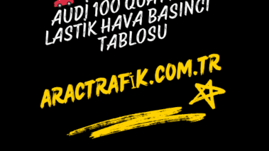 Audi 100 Quattro Lastik Hava Basıncı Tablosu