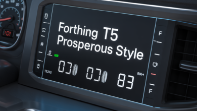 Forthing T5 Prosperous Style Lastik Hava Basıncı