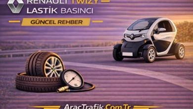 Renault Twizy Lastik Basıncı