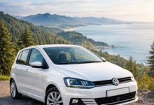 Volkswagen Fox lastik Hava basıncı
