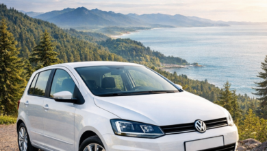Volkswagen Fox lastik Hava basıncı
